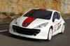 Peugeot 207RCup