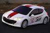 Peugeot 207RCup