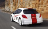 207 RCup